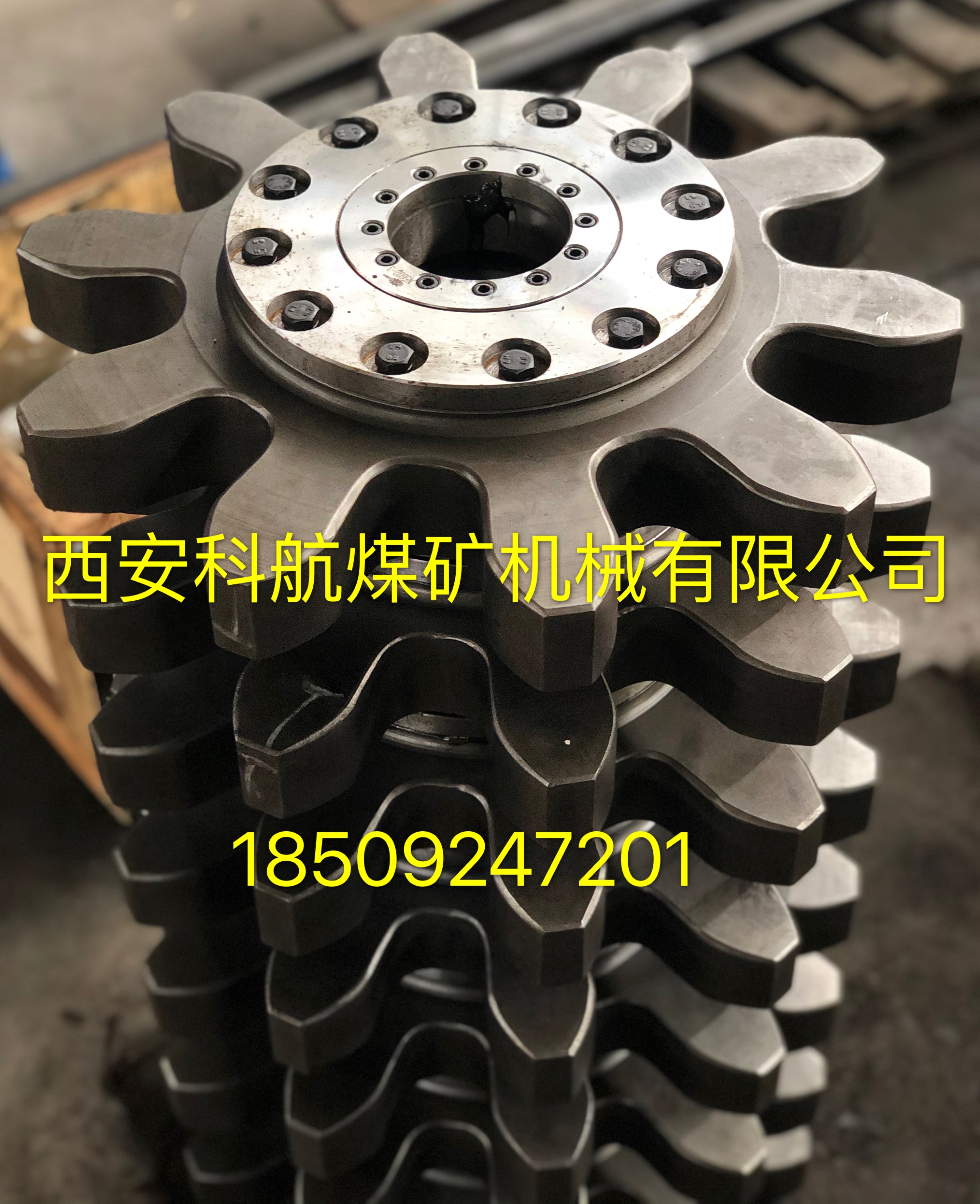 �c���鿴Ԕ��